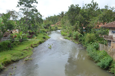 DSC_1156.JPG