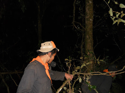 DSCN1516.JPG