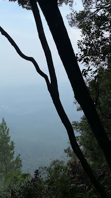 IMG_4725.MOV