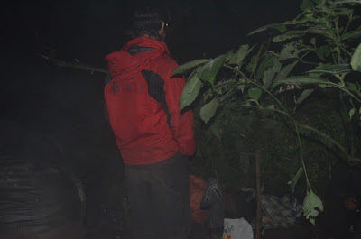 DSC_0226.JPG