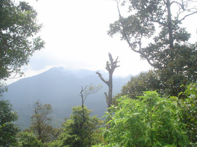 DSC01537.JPG