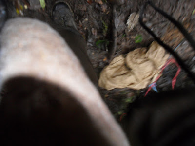 SAM_0082.JPG