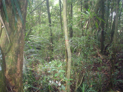 DSC01504.JPG