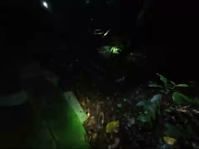 dji_mimo_20260528_180408_20260528180409_1780375253283_video.mp4