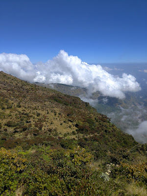 RA_20250723_105443_lmc_8.4.jpg