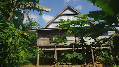 DSC02894.JPG