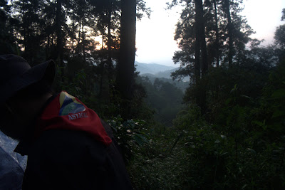 DSCF6575.RAF