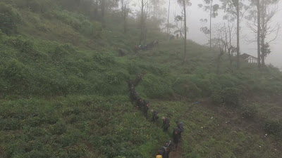 DJI_20260121111949_0170_D.MP4