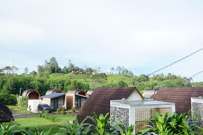 DSC07795.JPG