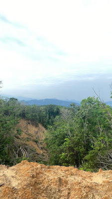 IMG_0911.HEIC