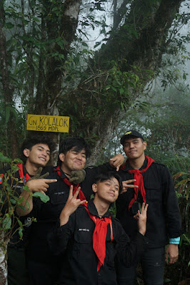 LDK00623.JPG