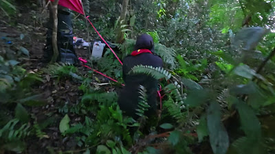 dji_mimo_20260529_173250_20260529173251_1780344588073_video.mp4