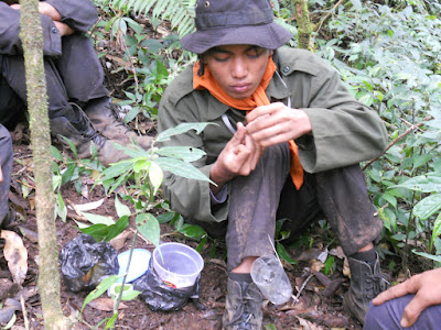 DSCN1675.JPG