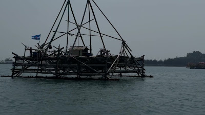 IMG_7078.MOV