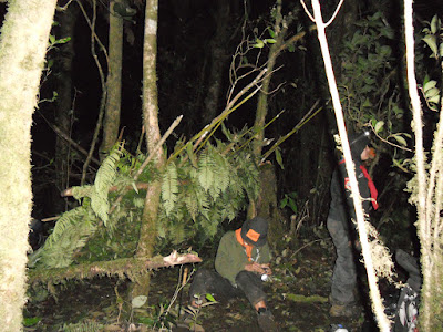 DSCN1514.JPG