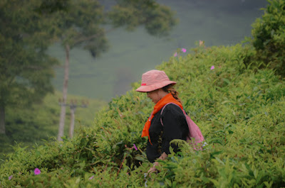Mountaineering Course-93.jpg