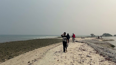 IMG_8267.MOV