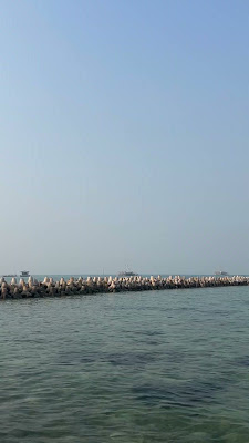 IMG_8220.MOV