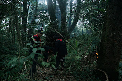 LDK00513.JPG