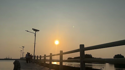 IMG_8323.MOV