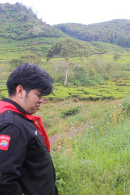 _MG_2571.JPG