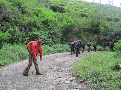 IMG_9931.JPG