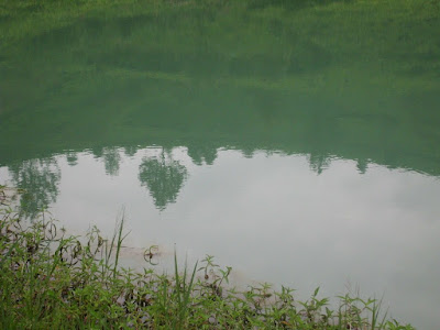 CIMG7254.JPG