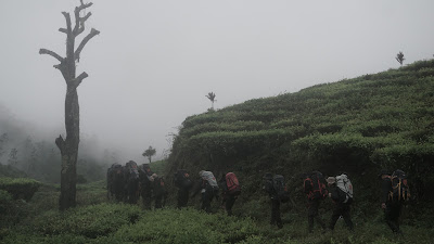 DSC08877.JPG