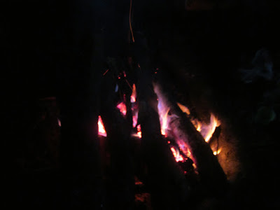 IMG_9878.JPG
