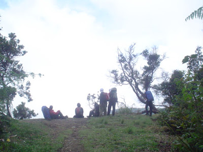 DSC01545.JPG