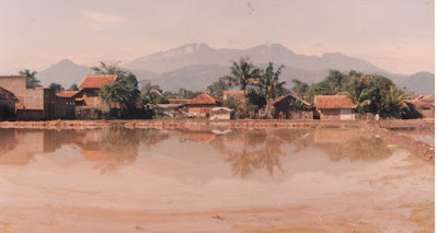malabar9602.jpg
