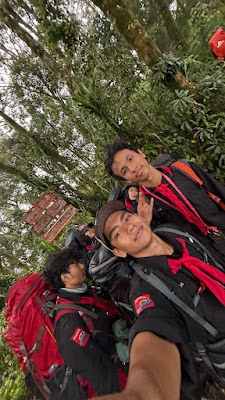 IMG_4787.HEIC