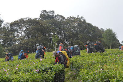 DSC_0324.JPG
