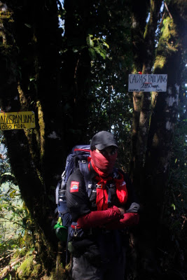 _MG_2637.JPG