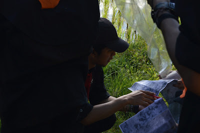 DSC_0096.JPG