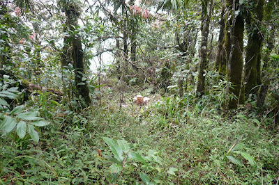 P1040745.JPG
