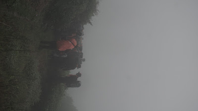 DSC08902.JPG