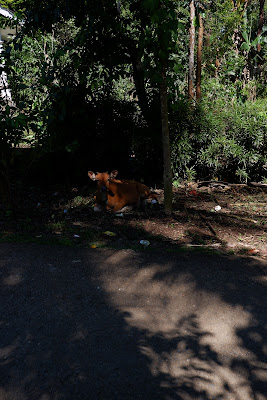 DSCF2123.JPG
