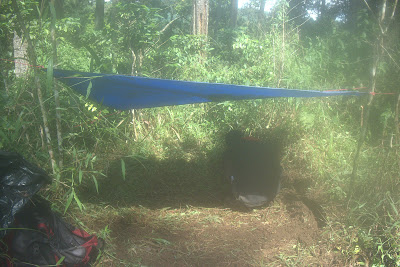 DSCF6599.RAF