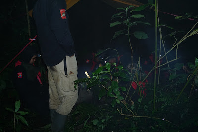 DSC07934.JPG