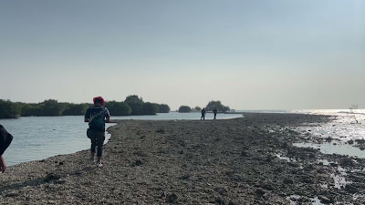 IMG_8184.MOV