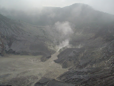 DSC01609.JPG
