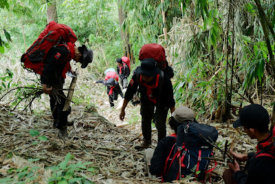 DSCF6479.JPG