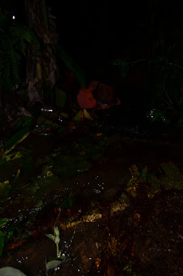 DSC_0367.JPG