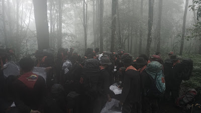 DSC09084.JPG