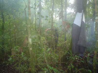 DSC02857.JPG