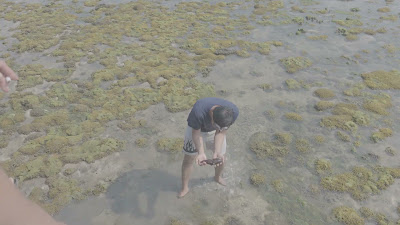 20260811_092701.mp4