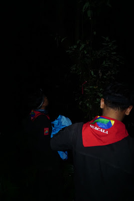 DSC07982.JPG