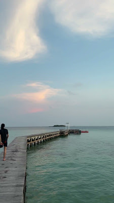 IMG_5035.mov