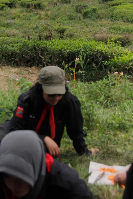 _MG_2749.JPG